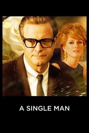 A Single Man 2009 Dual Audio | Dubbed Hindi Movie BluRay 300MB ESubs