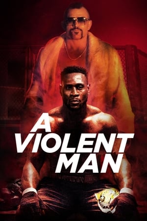 A Violent Man 2017 Dual Audio | Dubbed Hindi Movie WebRip 330MB