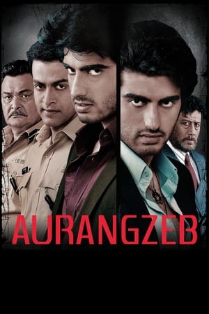 Aurangzeb (2013) Movie | Dubbed Hindi Movie HDRip – [370MB]