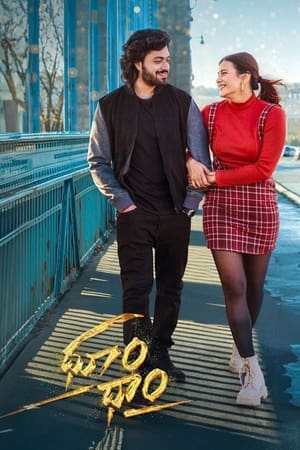 Dhoom Dhaam 2024 Telugu Dubbed CAMRip | Dubbed Hindi Movie