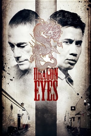 Dragon Eyes (2012) Dual Audio HDRip | Dubbed Hindi Movie – 480p