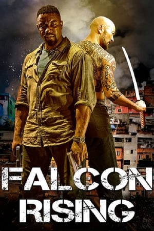 Falcon Rising (2014) Dual Audio | Dubbed Hindi Movie BluRay [980MB]