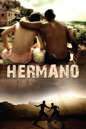 Hermano (2010) Dual Audio | Dubbed Hindi Movie Web-DL 300MB