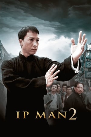 Ip Man 2 (2010) Dual Audio | Dubbed Hindi Movie BluRay 350MB