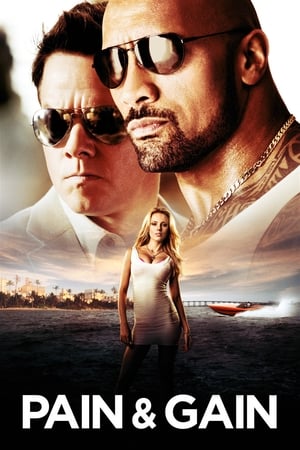 Pain & Gain 2013 Dual Audio | Dubbed Hindi Movie Bluray [1.10GB]