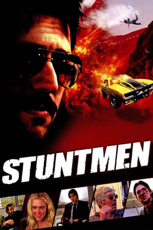Stuntmen 2009 Dual Audio | Dubbed Hindi Movie WebRip 300MB
