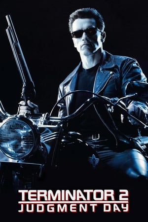 Terminator 2 (1991) Dual Audio | Dubbed Hindi Movie BluRay 500MB