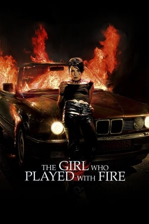 The Girl Who Played with Fire (2009) Dual Audio | Dubbed Hindi Movie BluRay 330MB