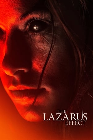 The Lazarus Effect (2015) Dual Audio | Dubbed Hindi Movie BluRay 300MB