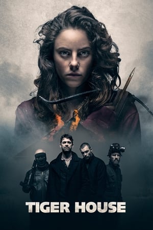 Tiger House (2015) Dual Audio | Dubbed Hindi Movie BluRay 300MB