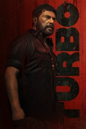 Turbo 2024 Dual Audio HDRip | Dubbed Hindi Movie – 720p – 480p